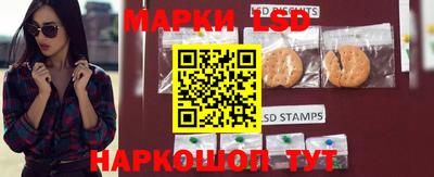 spice Нальчик